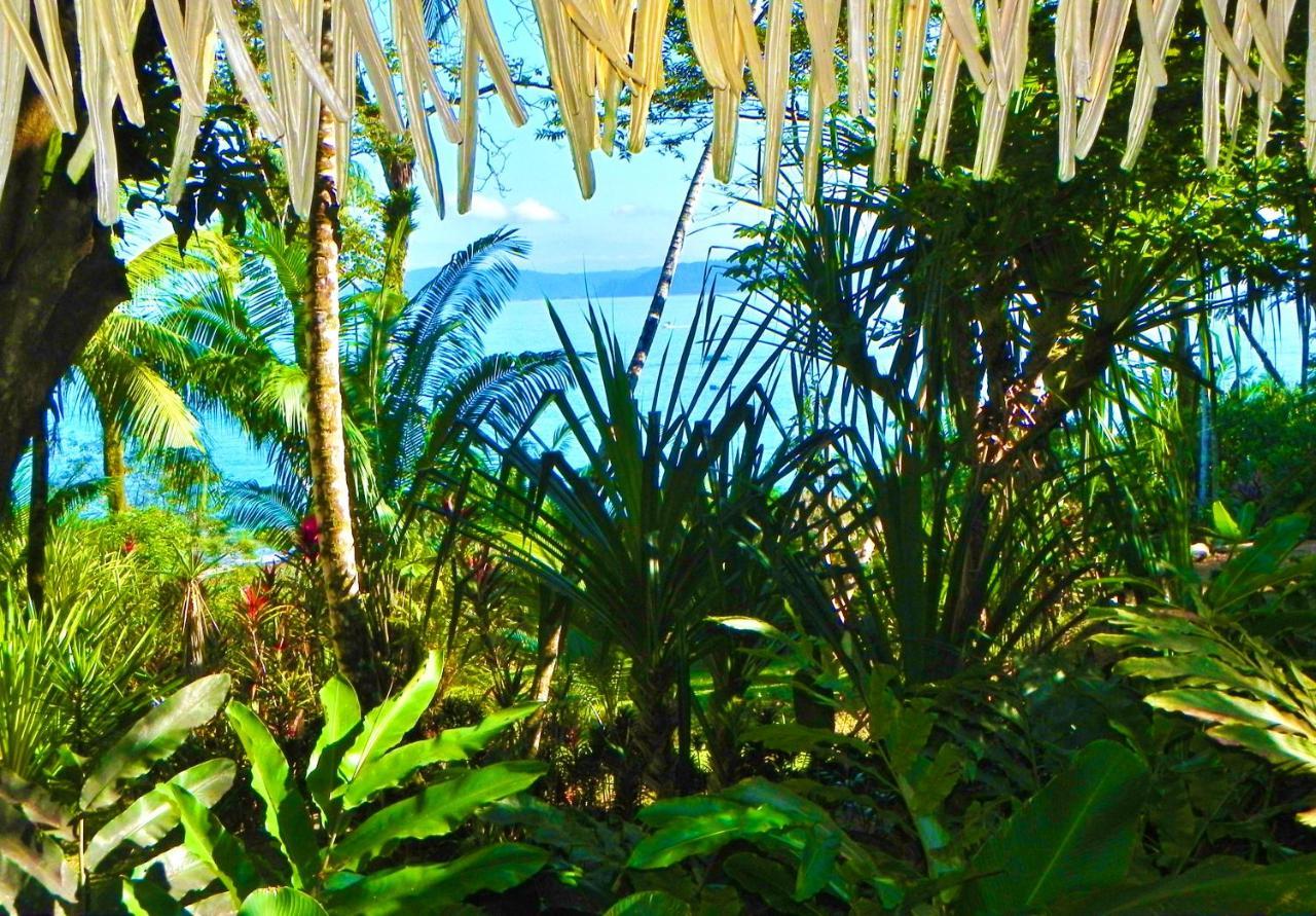 Copa De Arbol Beach & Rainforest Resort Drake Bay Exterior photo